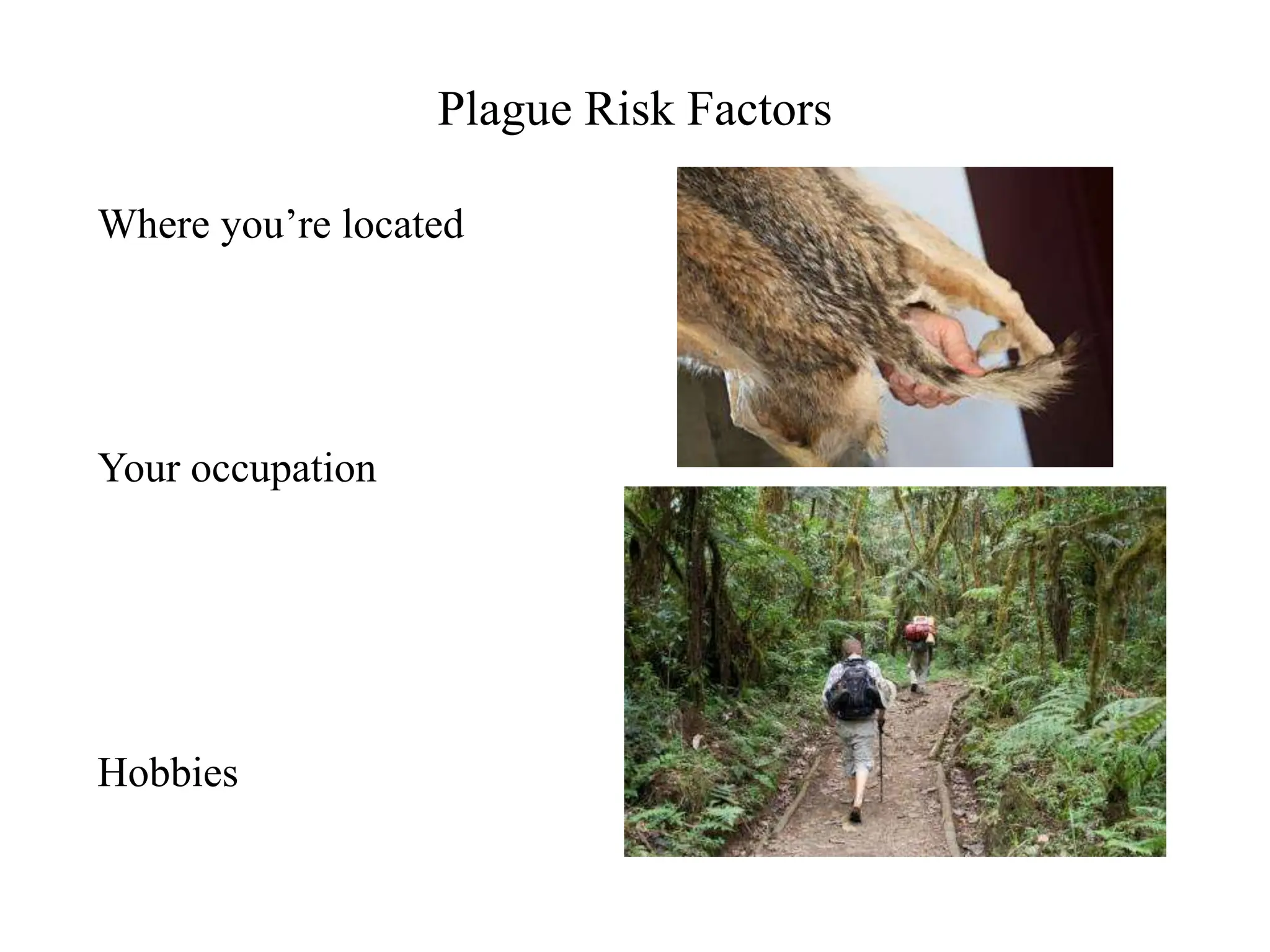 Plague Risk Factors
Where you’re located
Your occupation
Hobbies
 