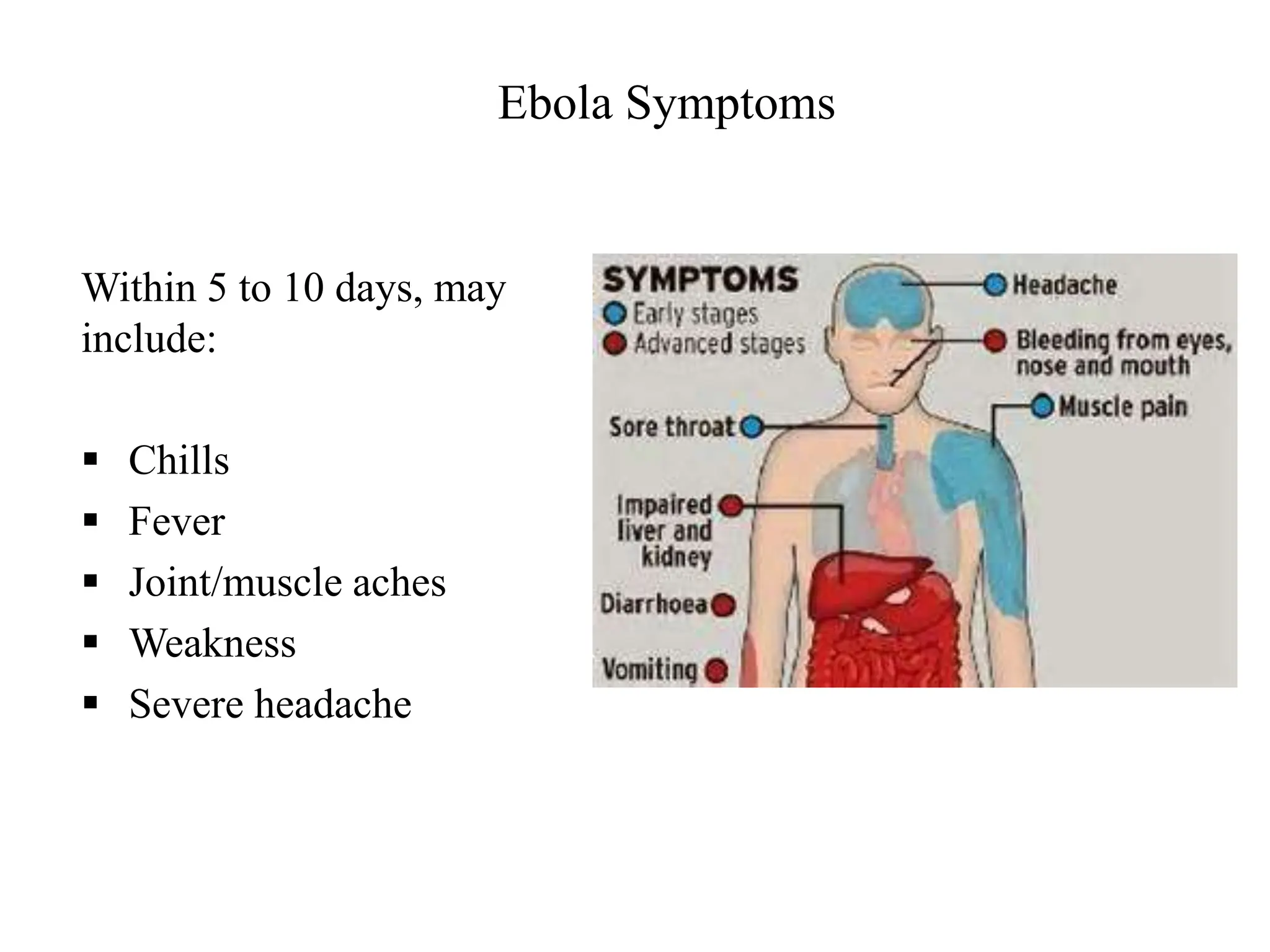 Ebola Symptoms
Within 5 to 10 days, may
include:
 Chills
 Fever
 Joint/muscle aches
 Weakness
 Severe headache
 