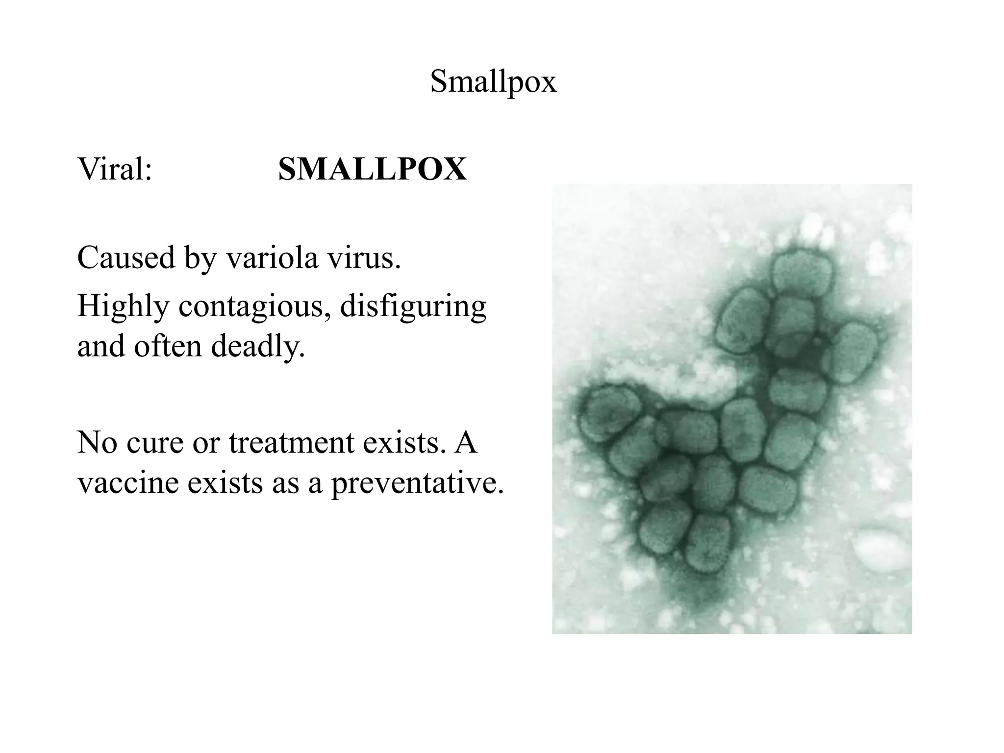 Smallpox
Viral: SMALLPOX
Caused by variola virus.
Highly contagious, disfiguring
and often deadly.
No cure or treatment exists. A
vaccine exists as a preventative.
 