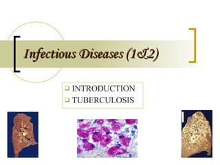 Infectious Diseases (1&2) ,[object Object],[object Object]