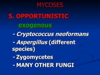 MYCOSES 5.   OPPORTUNISTIC exogenous - Cryptococcus neoformans - Aspergillus  (different species) -  Zygomycetes -  MANY OTHER FUNGI 