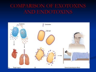 COMPARISON OF EXOTOXINS AND ENDOTOXINS 