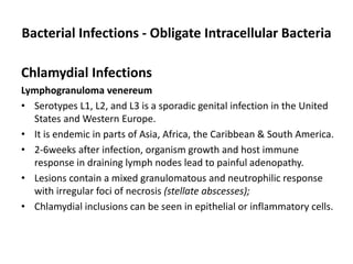 Bacterial Infections - Obligate Intracellular Bacteria
Chlamydial Infections
Lymphogranuloma venereum
• Serotypes L1, L2, and L3 is a sporadic genital infection in the United
States and Western Europe.
• It is endemic in parts of Asia, Africa, the Caribbean & South America.
• 2-6weeks after infection, organism growth and host immune
response in draining lymph nodes lead to painful adenopathy.
• Lesions contain a mixed granulomatous and neutrophilic response
with irregular foci of necrosis (stellate abscesses);
• Chlamydial inclusions can be seen in epithelial or inflammatory cells.
 