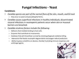 Fungal Infections - Yeast
Candidiasis
• Candida species are part of the normal flora of the skin, mouth, and GI tract
– they occur as yeast and pseudohyphal forms.
• Candida causes superficial infections in healthy individuals; disseminated
visceral infections in neutropenic patients occur when skin or mucosal
barriers are breached.
• Candida virulence factors include the following:
– Adhesins that mediate binding to host cells.
– Enzymes that contribute to invasiveness.
– Catalases that aid intracellular survival by resisting phagocyte oxidative killing.
– Adenosine that blocks neutrophil degranulation and oxygen radical production.
– Ability to grow as biofilms on devices, thereby frustrating immune responses and
antifungal agents.
 