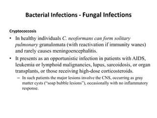 Bacterial Infections - Fungal Infections
Cryptococcosis
• In healthy individuals C. neoformans can form solitary
pulmonary granulomata (with reactivation if immunity wanes)
and rarely causes meningoencephalitis.
• It presents as an opportunistic infection in patients with AIDS,
leukemia or lymphoid malignancies, lupus, sarcoidosis, or organ
transplants, or those receiving high-dose corticosteroids.
– In such patients the major lesions involve the CNS, occurring as gray
matter cysts (“soap bubble lesions”), occasionally with no inflammatory
response.
 
