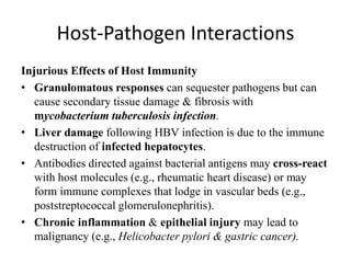 Host-Pathogen Interactions
Injurious Effects of Host Immunity
• Granulomatous responses can sequester pathogens but can
cause secondary tissue damage & fibrosis with
mycobacterium tuberculosis infection.
• Liver damage following HBV infection is due to the immune
destruction of infected hepatocytes.
• Antibodies directed against bacterial antigens may cross-react
with host molecules (e.g., rheumatic heart disease) or may
form immune complexes that lodge in vascular beds (e.g.,
poststreptococcal glomerulonephritis).
• Chronic inflammation & epithelial injury may lead to
malignancy (e.g., Helicobacter pylori & gastric cancer).
 