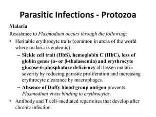 Parasitic Infections - Protozoa
Malaria
Resistance to Plasmodium occurs through the following:
• Heritable erythrocyte traits (common in areas of the world
where malaria is endemic):
– Sickle cell trait (HbS), hemoglobin C (HbC), loss of
globin genes (α- or β-thalassemia) and erythrocyte
glucose-6-phosphatase deficiency all lessen malaria
severity by reducing parasite proliferation and increasing
erythrocyte clearance by macrophages.
– Absence of Duffy blood group antigen prevents
Plasmodium vivax binding to erythrocytes.
• Antibody and T cell–mediated repertoires that develop after
chronic infection.
 