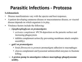 Parasitic Infections - Protozoa
Leishmaniasis
• Disease manifestations vary with the species and host responses.
• A patient developing cutaneous disease or mucocutaneous disease, or visceral
disease depends on which organism is in play.
• Virulence factors include the following:
– Lipophosphoglycan on promastigotes
• activates complement  C3b deposition on the parasite surface and
increasing phagocytosis
• inhibits complement action (by preventing membrane attack complex
assembly).
– gp63 on promastigotes
• binds fibronectin to promote promastigote adhesion to macrophages
• cleaves complement and lysosomal antimicrobial enzymes to frustrate
killing.
– A proton pump in amastigotes reduces macrophage phagolysosome
acidity.
 