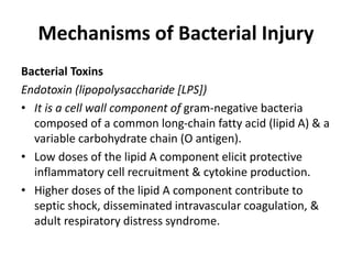 Mechanisms of Bacterial Injury
Bacterial Toxins
Endotoxin (lipopolysaccharide [LPS])
• It is a cell wall component of gram-negative bacteria
composed of a common long-chain fatty acid (lipid A) & a
variable carbohydrate chain (O antigen).
• Low doses of the lipid A component elicit protective
inflammatory cell recruitment & cytokine production.
• Higher doses of the lipid A component contribute to
septic shock, disseminated intravascular coagulation, &
adult respiratory distress syndrome.
 