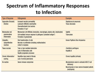 Spectrum of Inflammatory Responses
to Infection
 
