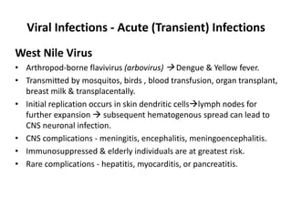 Viral Infections - Acute (Transient) Infections
West Nile Virus
• Arthropod-borne flavivirus (arbovirus)  Dengue & Yellow fever.
• Transmitted by mosquitos, birds , blood transfusion, organ transplant,
breast milk & transplacentally.
• Initial replication occurs in skin dendritic cellslymph nodes for
further expansion  subsequent hematogenous spread can lead to
CNS neuronal infection.
• CNS complications - meningitis, encephalitis, meningoencephalitis.
• Immunosuppressed & elderly individuals are at greatest risk.
• Rare complications - hepatitis, myocarditis, or pancreatitis.
 