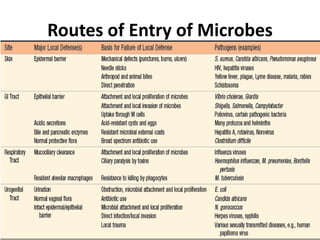 Routes of Entry of Microbes
 