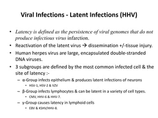 Viral Infections - Latent Infections (HHV)
• Latency is defined as the persistence of viral genomes that do not
produce infectious virus infarction.
• Reactivation of the latent virus  dissemination +/-tissue injury.
• Human herpes virus are large, encapsulated double-stranded
DNA viruses.
• 3 subgroups are defined by the most common infected cell & the
site of latency :-
– α-Group infects epithelium & produces latent infections of neurons
• HSV-1, HSV-2 & VZV
– β-Group infects lymphocytes & can be latent in a variety of cell types.
• CMV, HHV-6 & HHV-7.
– γ-Group causes latency in lymphoid cells
• EBV & KSHV/HHV-8.
 