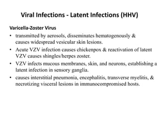 Viral Infections - Latent Infections (HHV)
Varicella-Zoster Virus
• transmitted by aerosols, disseminates hematogenously &
causes widespread vesicular skin lesions.
• Acute VZV infection causes chickenpox & reactivation of latent
VZV causes shingles/herpes zoster.
• VZV infects mucous membranes, skin, and neurons, establishing a
latent infection in sensory ganglia.
• causes interstitial pneumonia, encephalitis, transverse myelitis, &
necrotizing visceral lesions in immunocompromised hosts.
 