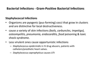 Bacterial Infections - Gram-Positive Bacterial Infections
Staphylococcal Infections
• Organisms are pyogenic (pus-forming) cocci that grow in clusters
and are distinctive for local destructiveness.
• cause a variety of skin infections (boils, carbuncles, impetigo),
osteomyelitis, pneumonia, endocarditis, food poisoning & toxic
shock syndrome.
• Less virulent ones cause opportunistic infections
– Staphylococcus epidermidis in IV drug abusers, patients with
catheters/prosthetic heart valves.
– Staphylococcus saprophyticus causes UTI
 