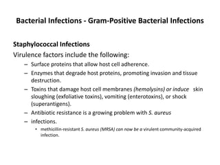 Bacterial Infections - Gram-Positive Bacterial Infections
Staphylococcal Infections
Virulence factors include the following:
– Surface proteins that allow host cell adherence.
– Enzymes that degrade host proteins, promoting invasion and tissue
destruction.
– Toxins that damage host cell membranes (hemolysins) or induce skin
sloughing (exfoliative toxins), vomiting (enterotoxins), or shock
(superantigens).
– Antibiotic resistance is a growing problem with S. aureus
– infections.
• methicillin-resistant S. aureus (MRSA) can now be a virulent community-acquired
infection.
 