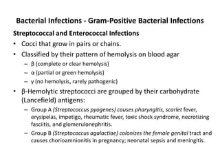 Bacterial Infections - Gram-Positive Bacterial Infections
Streptococcal and Enterococcal Infections
• Cocci that grow in pairs or chains.
• Classified by their pattern of hemolysis on blood agar
– β (complete or clear hemolysis)
– α (partial or green hemolysis)
– γ (no hemolysis, rarely pathogenic)
• β-Hemolytic streptococci are grouped by their carbohydrate
(Lancefield) antigens:
– Group A (Streptococcus pyogenes) causes pharyngitis, scarlet fever,
erysipelas, impetigo, rheumatic fever, toxic shock syndrome, necrotizing
fasciitis, and glomerulonephritis.
– Group B (Streptococcus agalactiae) colonizes the female genital tract and
causes chorioamnionitis in pregnancy; neonatal sepsis and meningitis.
 