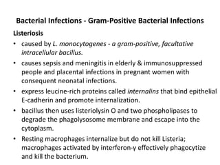 Bacterial Infections - Gram-Positive Bacterial Infections
Listeriosis
• caused by L. monocytogenes - a gram-positive, facultative
intracellular bacillus.
• causes sepsis and meningitis in elderly & immunosuppressed
people and placental infections in pregnant women with
consequent neonatal infections.
• express leucine-rich proteins called internalins that bind epithelial
E-cadherin and promote internalization.
• bacillus then uses listeriolysin O and two phospholipases to
degrade the phagolysosome membrane and escape into the
cytoplasm.
• Resting macrophages internalize but do not kill Listeria;
macrophages activated by interferon-γ effectively phagocytize
and kill the bacterium.
 