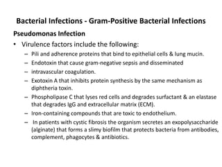 Bacterial Infections - Gram-Positive Bacterial Infections
Pseudomonas Infection
• Virulence factors include the following:
– Pili and adherence proteins that bind to epithelial cells & lung mucin.
– Endotoxin that cause gram-negative sepsis and disseminated
– intravascular coagulation.
– Exotoxin A that inhibits protein synthesis by the same mechanism as
diphtheria toxin.
– Phospholipase C that lyses red cells and degrades surfactant & an elastase
that degrades IgG and extracellular matrix (ECM).
– Iron-containing compounds that are toxic to endothelium.
– In patients with cystic fibrosis the organism secretes an exopolysaccharide
(alginate) that forms a slimy biofilm that protects bacteria from antibodies,
complement, phagocytes & antibiotics.
 