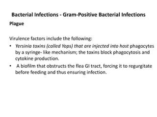Bacterial Infections - Gram-Positive Bacterial Infections
Plague
Virulence factors include the following:
• Yersinia toxins (called Yops) that are injected into host phagocytes
by a syringe- like mechanism; the toxins block phagocytosis and
cytokine production.
• A biofilm that obstructs the flea GI tract, forcing it to regurgitate
before feeding and thus ensuring infection.
 