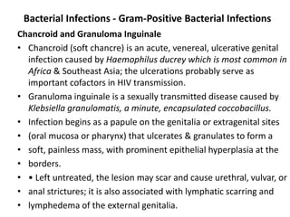 Bacterial Infections - Gram-Positive Bacterial Infections
Chancroid and Granuloma Inguinale
• Chancroid (soft chancre) is an acute, venereal, ulcerative genital
infection caused by Haemophilus ducrey which is most common in
Africa & Southeast Asia; the ulcerations probably serve as
important cofactors in HIV transmission.
• Granuloma inguinale is a sexually transmitted disease caused by
Klebsiella granulomatis, a minute, encapsulated coccobacillus.
• Infection begins as a papule on the genitalia or extragenital sites
• (oral mucosa or pharynx) that ulcerates & granulates to form a
• soft, painless mass, with prominent epithelial hyperplasia at the
• borders.
• • Left untreated, the lesion may scar and cause urethral, vulvar, or
• anal strictures; it is also associated with lymphatic scarring and
• lymphedema of the external genitalia.
 