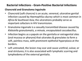 Bacterial Infections - Gram-Positive Bacterial Infections
Chancroid and Granuloma Inguinale
• Chancroid (soft chancre) is an acute, venereal, ulcerative genital
infection caused by Haemophilus ducrey which is most common in
Africa & Southeast Asia; the ulcerations probably serve as
important cofactors in HIV transmission.
• Granuloma inguinale is a sexually transmitted disease caused by
Klebsiella granulomatis, a minute, encapsulated coccobacillus.
• Infection begins as a papule on the genitalia or extragenital sites
(oral mucosa or pharynx) that ulcerates & granulates to form a
soft, painless mass, with prominent epithelial hyperplasia at the
borders.
• Left untreated, the lesion may scar and cause urethral, vulvar, or
anal strictures; it is also associated with lymphatic scarring and
lymphedema of the external genitalia.
 