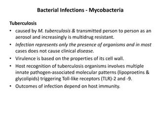 Bacterial Infections - Mycobacteria
Tuberculosis
• caused by M. tuberculosis & transmitted person to person as an
aerosol and increasingly is multidrug resistant.
• Infection represents only the presence of organisms and in most
cases does not cause clinical disease.
• Virulence is based on the properties of its cell wall.
• Host recognition of tuberculosis organisms involves multiple
innate pathogen-associated molecular patterns (lipoproetins &
glycolipids) triggering Toll-like receptors (TLR)-2 and -9.
• Outcomes of infection depend on host immunity.
 