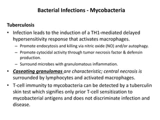 Bacterial Infections - Mycobacteria
Tuberculosis
• Infection leads to the induction of a TH1-mediated delayed
hypersensitivity response that activates macrophages.
– Promote endocytosis and killing via nitric oxide (NO) and/or autophagy.
– Promote cytocidal activity through tumor necrosis factor & defensin
production.
– Surround microbes with granulomatous inflammation.
• Caseating granulomas are characteristic; central necrosis is
surrounded by lymphocytes and activated macrophages.
• T-cell immunity to mycobacteria can be detected by a tuberculin
skin test which signifies only prior T-cell sensitization to
mycobacterial antigens and does not discriminate infection and
disease.
 