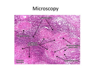 Microscopy
 