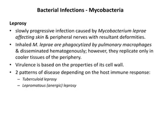 Bacterial Infections - Mycobacteria
Leprosy
• slowly progressive infection caused by Mycobacterium leprae
affecting skin & peripheral nerves with resultant deformities.
• Inhaled M. leprae are phagocytized by pulmonary macrophages
& disseminated hematogenously; however, they replicate only in
cooler tissues of the periphery.
• Virulence is based on the properties of its cell wall.
• 2 patterns of disease depending on the host immune response:
– Tuberculoid leprosy
– Lepromatous (anergic) leprosy
 