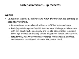 Bacterial Infections - Spirochetes
Syphilis
• Congenital syphilis usually occurs when the mother has primary or
secondary syphilis.
– Intrauterine or perinatal death will occur in 50% of untreated cases.
– Early (infantile) congenital syphilis includes nasal discharge, a bullous rash
with skin sloughing, hepatomegaly, and skeletal abnormalities (nose and
lower legs are most distinctive). Diffuse lung or liver fibrosis can also occur.
– Late (tardive) manifestations include notched central incisors, deafness,
and interstitial keratitis with blindness (Hutchinson triad).
 