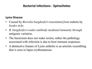 Bacterial Infections - Spirochetes
Lyme Disease
• Caused by Borrelia burgdorferi transmitted from rodents by
Ixodes ticks.
• B. burgdorferi evades antibody-mediated immunity through
antigenic variation.
• The bacterium does not make toxins; rather the pathology
associated with infection is due to host immune responses.
• A distinctive feature of Lyme arthritis is an arteritis resembling
that is seen in lupus erythematosus.
 