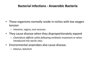 Bacterial Infections - Anaerobic Bacteria
• These organisms normally reside in niches with low oxygen
tension
– intestine, vagina, oral recesses
• They cause disease when they disproportionately expand
– Clostridium difficile colitis following antibiotic treatment or when
introduced into sterile sites.
• Environmental anaerobes also cause disease.
– tetanus, botulism
 