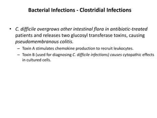 Bacterial Infections - Clostridial Infections
• C. difficile overgrows other intestinal flora in antibiotic-treated
patients and releases two glucosyl transferase toxins, causing
pseudomembranous colitis.
– Toxin A stimulates chemokine production to recruit leukocytes.
– Toxin B (used for diagnosing C. difficile infections) causes cytopathic effects
in cultured cells.
 