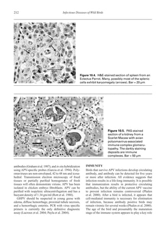 Infectious Diseases of Wild Birds (Vetbooks.ir) .pdf