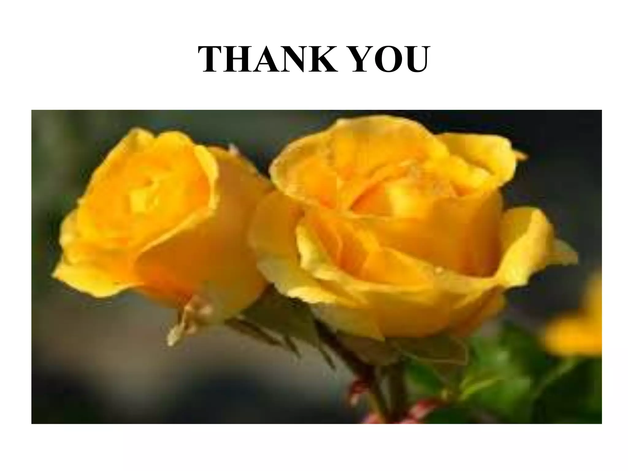 Infectious Diseases Ppt Pptx