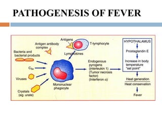 Infectious diseases puo | PDF