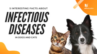 INFECTIOUS
DISEASES
IN DOGS AND CATS
5 INTERESTING FACTS ABOUT
 