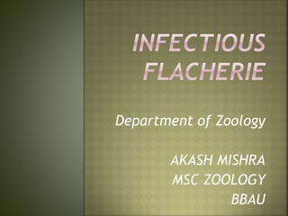 Department of Zoology
AKASH MISHRA
MSC ZOOLOGY
BBAU
 