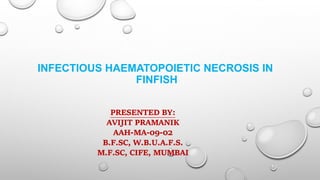 INFECTIOUS HAEMATOPOIETIC NECROSIS IN
FINFISH
PRESENTED BY:
AVIJIT PRAMANIK
AAH-MA-09-02
B.F.SC, W.B.U.A.F.S.
M.F.SC, CIFE, MUMBAI
 
