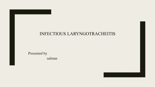 INFECTIOUS LARYNGOTRACHEITIS
Presented by
salman
 
