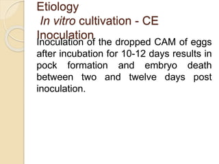 Day Post Inoculation Infectiouslaryngotrachitisilt 141109163308-conversion-gate02 | PPTX