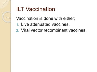 Vector Ilt Infectiouslaryngotrachitisilt 141109163308-conversion-gate02 | PPTX