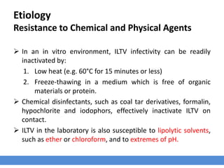 Etiology
Resistance to Chemical and Physical Agents
 In an in vitro environment, ILTV infectivity can be readily
inactivated by:
1. Low heat (e.g. 60°C for 15 minutes or less)
2. Freeze-thawing in a medium which is free of organic
materials or protein.
 Chemical disinfectants, such as coal tar derivatives, formalin,
hypochlorite and iodophors, effectively inactivate ILTV on
contact.
 ILTV in the laboratory is also susceptible to lipolytic solvents,
such as ether or chloroform, and to extremes of pH.
 