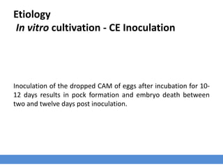 Etiology
In vitro cultivation - CE Inoculation
Inoculation of the dropped CAM of eggs after incubation for 10-
12 days results in pock formation and embryo death between
two and twelve days post inoculation.
 