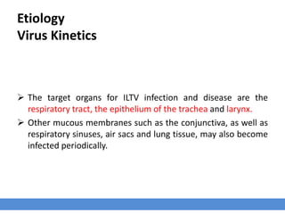 Etiology
Virus Kinetics
 The target organs for ILTV infection and disease are the
respiratory tract, the epithelium of the trachea and larynx.
 Other mucous membranes such as the conjunctiva, as well as
respiratory sinuses, air sacs and lung tissue, may also become
infected periodically.
 