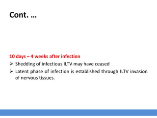 Cont. …
10 days – 4 weeks after infection
 Shedding of infectious ILTV may have ceased
 Latent phase of infection is established through ILTV invasion
of nervous tissues.
 