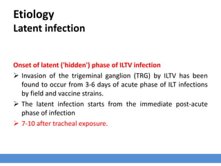 Etiology
Latent infection
Onset of latent ('hidden') phase of ILTV infection
 Invasion of the trigeminal ganglion (TRG) by ILTV has been
found to occur from 3-6 days of acute phase of ILT infections
by field and vaccine strains.
 The latent infection starts from the immediate post-acute
phase of infection
 7-10 after tracheal exposure.
 