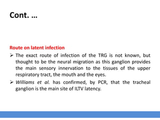 Cont. …
Route on latent infection
 The exact route of infection of the TRG is not known, but
thought to be the neural migration as this ganglion provides
the main sensory innervation to the tissues of the upper
respiratory tract, the mouth and the eyes.
 Williams et al. has confirmed, by PCR, that the tracheal
ganglion is the main site of ILTV latency.
 