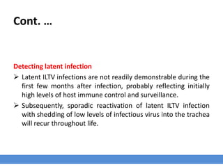 Cont. …
Detecting latent infection
 Latent ILTV infections are not readily demonstrable during the
first few months after infection, probably reflecting initially
high levels of host immune control and surveillance.
 Subsequently, sporadic reactivation of latent ILTV infection
with shedding of low levels of infectious virus into the trachea
will recur throughout life.
 